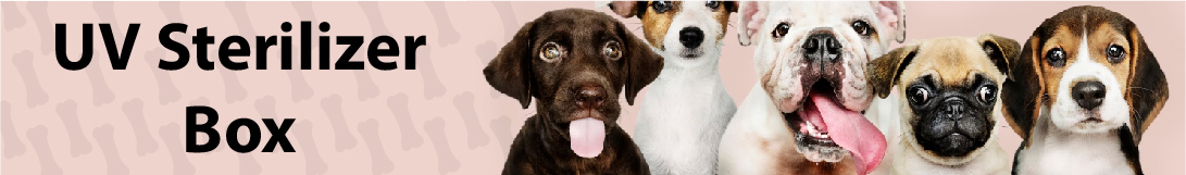 dog banner image